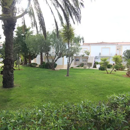 T3 Oasis